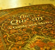 The Qur'an by Leyla Hur