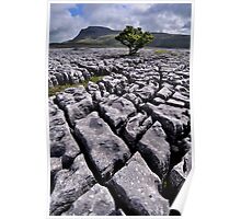 Ingleborough from White Scars Poster