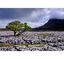 Ingleborough from White Scars Photographic Print