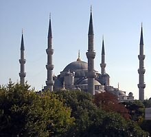 The Blue Mosque by GCAPARO