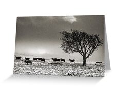 In search of food... Greeting Card