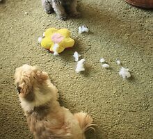 Who Done it?? by tuffcookie