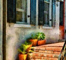 Flowers - Plants - The Stoop by Mike Savad