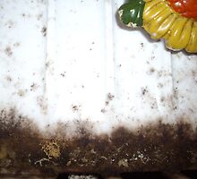 Mold and Memories by Cari Moore