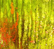 Forest Mist by Kathie Nichols