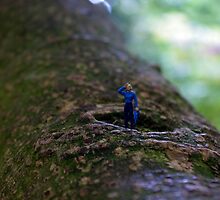 Lost In The Woods by Mark Wilson