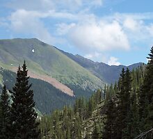 Wheeler Peak, New Mexico U.S.A. by David Hughes
