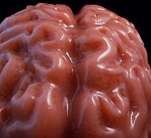 I Want to Eat Your Brains! (Zombie's Lament) by Barbara Morrison