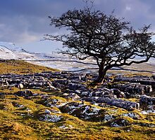 Limestone Country - The Yorkshire Dales by Dave Lawrance