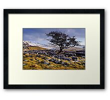 Limestone Country - The Yorkshire Dales Framed Print
