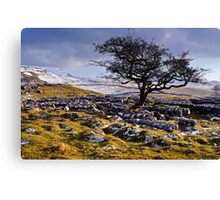 Limestone Country - The Yorkshire Dales Canvas Print