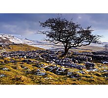 Limestone Country - The Yorkshire Dales Photographic Print