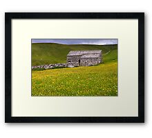 Summer meadow - The Yorkshire Dales Framed Print