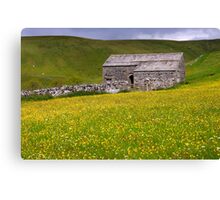 Summer meadow - The Yorkshire Dales Canvas Print
