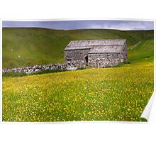 Summer meadow - The Yorkshire Dales Poster