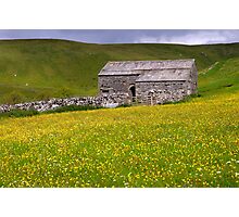 Summer meadow - The Yorkshire Dales Photographic Print