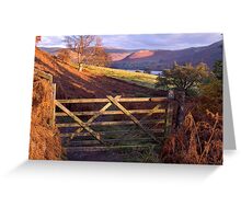Near Ullswater - The Lake District Greeting Card