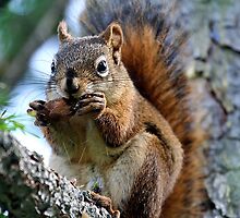 Eating Lunch by Wendy Chapman