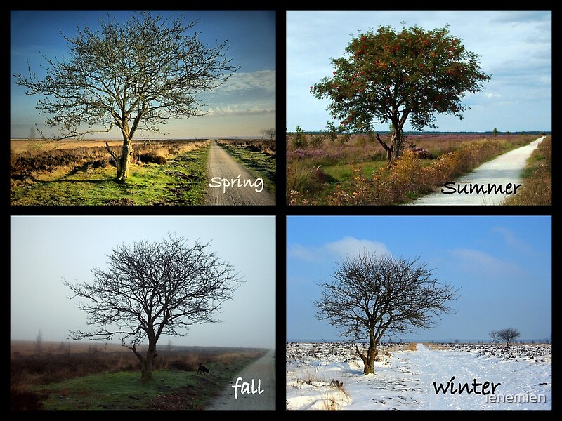 "Tree and Seasons Change" by ienemien Redbubble