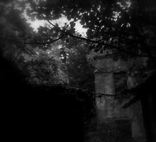 Baron Hill - Side by George Bulled