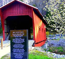 Bible Bridge by lynell