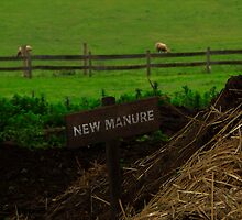 Manure by Hiebl Photography