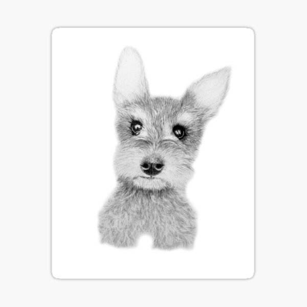 A Portrait Of Tilly Sticker For Sale By Rosannamaria Redbubble