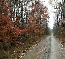 Take the long way home, take the long way home by linmarie