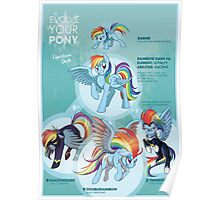 EYP Rainbow Dash Poster