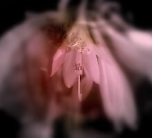Mercy and Truth by Lozzar Flowers & Art