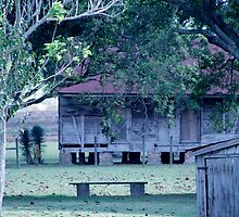 Former Slave Quarters by Susan Grissom