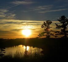 Soak up the Sun! by Samantha Zroback