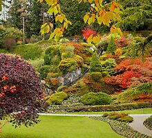Autumn in Butchart Gardens, by AnnDixon