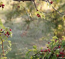 WEB SITE by MARMARISKEV
