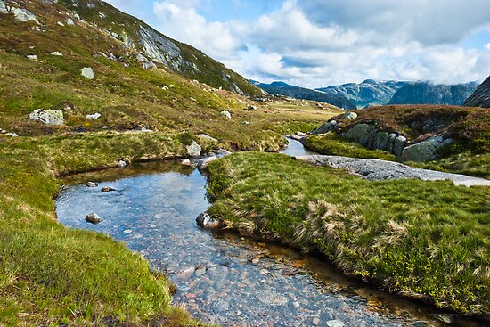 Spring In Norway