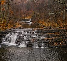 Days Gone By by Pamela Phelps