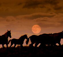 Miles To Go by Jeanne Nations