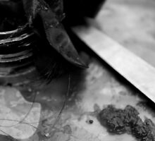Evidence 3 by Alan Brazzel