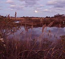 The Moon Peeks Out Over the Succotash Salt Marsh by Jack McCabe