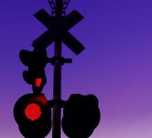 Railroad Crossing by Marcia Rubin