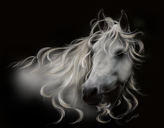 White Stallion Horse