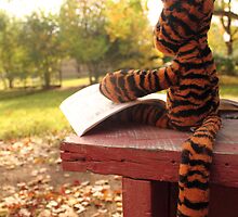 Sunday Afternoons by Olivia Moore
