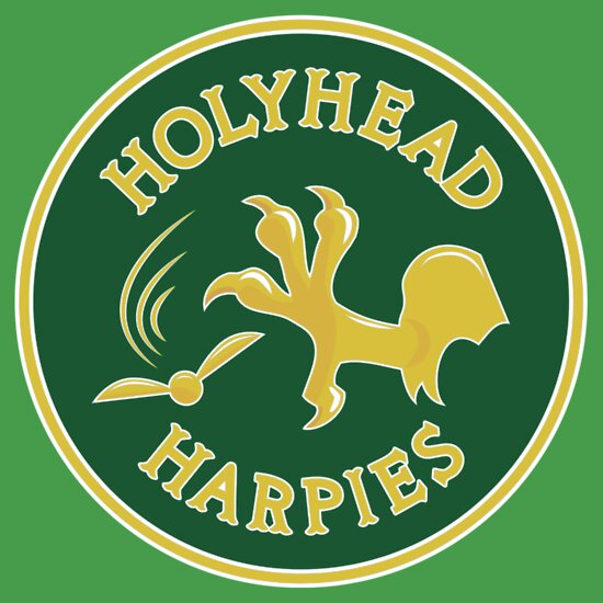 holyhead harpies shirt