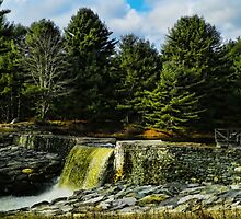 Inspiring Moments by Pamela Phelps