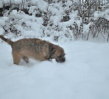 Knee Deep. by Dorothy Thomson