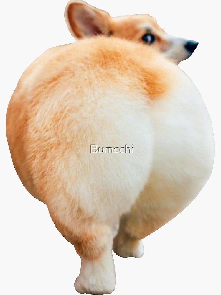 Corgi Butt Sticker For Sale By Bumcchi Redbubble