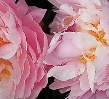 Comforting you by DavidROMAN