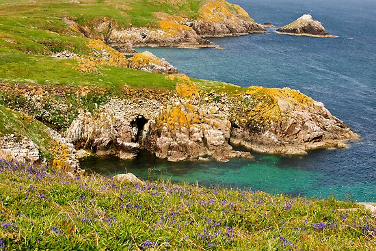 Saltee Islands Ireland