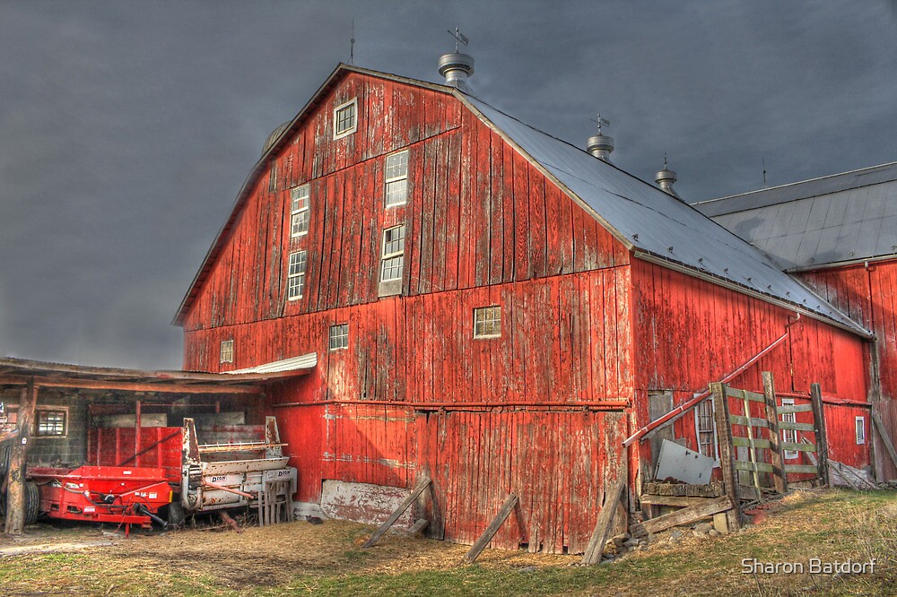"Duck Barn" by Sharon Batdorf Redbubble