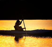 Sun Chaser by Bob Larson